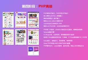 上海php網(wǎng)站開發(fā) 多迪教育網(wǎng)站建設培訓班 費用 哪個好 多少錢 教育在線