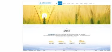 昆明奧遠科技 專業網站建設與新媒體運營服務商